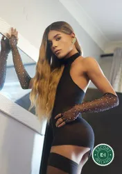 Escorts Ireland TV Chloe