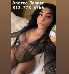 Escorts Tampa, Florida THE BEST 🎁