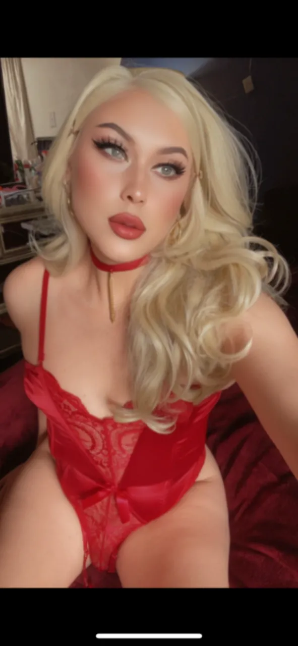 Escorts Phoenix, Arizona ⭐️ Halley ⭐️