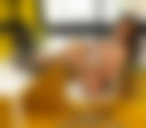 Escorts Strood T Girl Miss Thai Trans Jessy welcome 🙏🥰😍😘