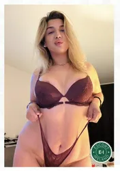 Escorts Gaillimh, Ireland TS Paola