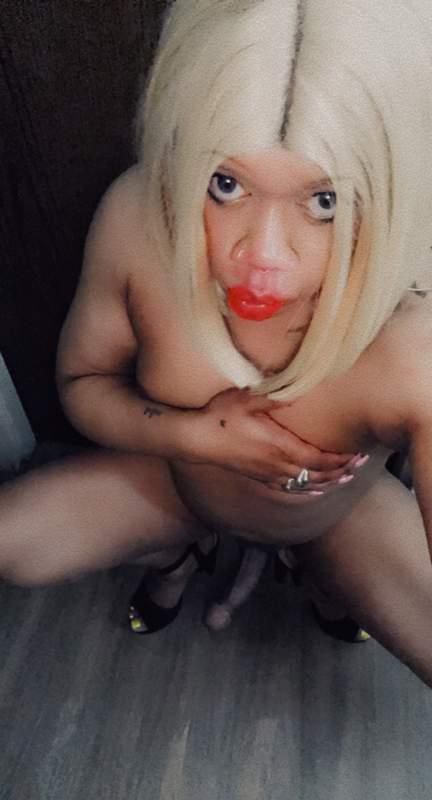 Escorts Springfield, Missouri :TRANS GIRL 💋KITTY KAT“ OFFICIAL LAST WEEKEND IN TOWN”
