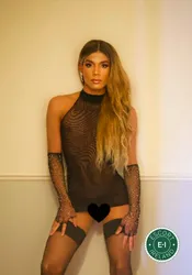 Escorts Ireland TV Chloe