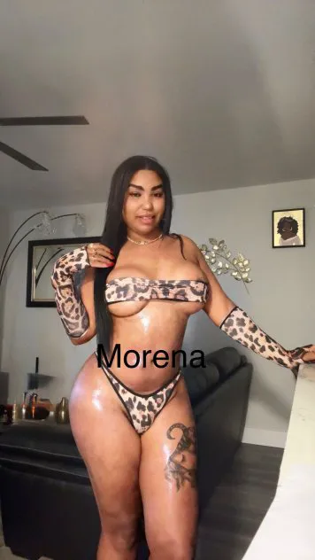 Escorts Naples, Florida (Cumpliré todas tus  fantasías
