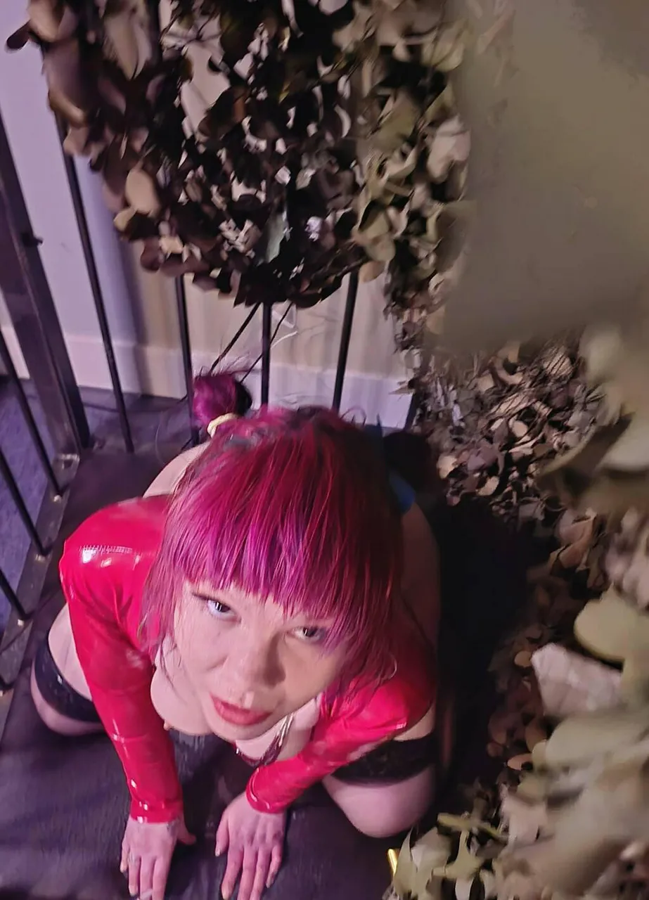 Escorts Winnipeg, Manitoba Fiona