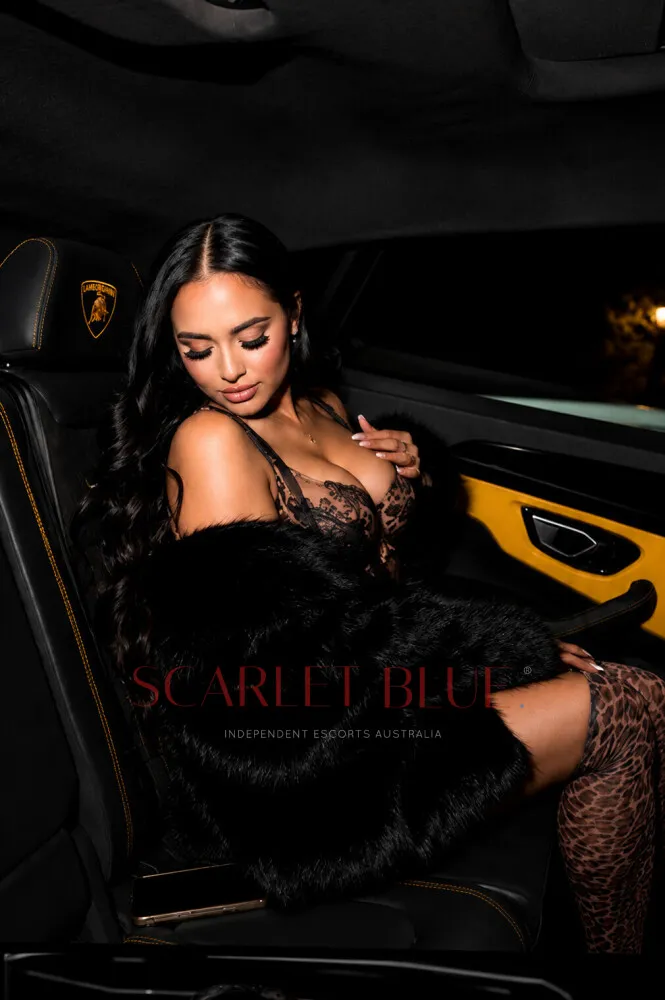 Escorts Melbourne, Australia Bentleyy 


