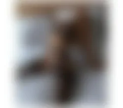 Escorts Sheffield, England NO RUSH BEST EXPERIENCE EVER TOP TS