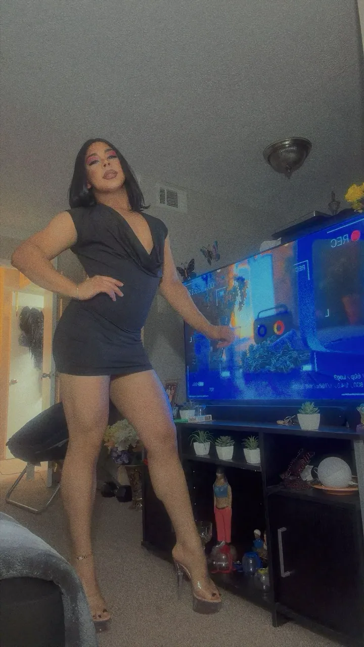 Escorts Dallas, Texas Brithanys