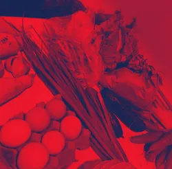 Escorts Brampton, Ontario Priyanka