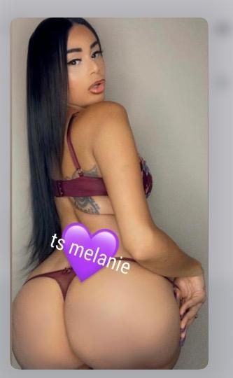 Escorts Queens, New York 😈🔥🍑 BUSTY CURVY LATINA SHEMALE 😈🍑🔥
