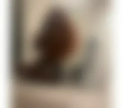 Escorts Finsbury, England CD bottom available