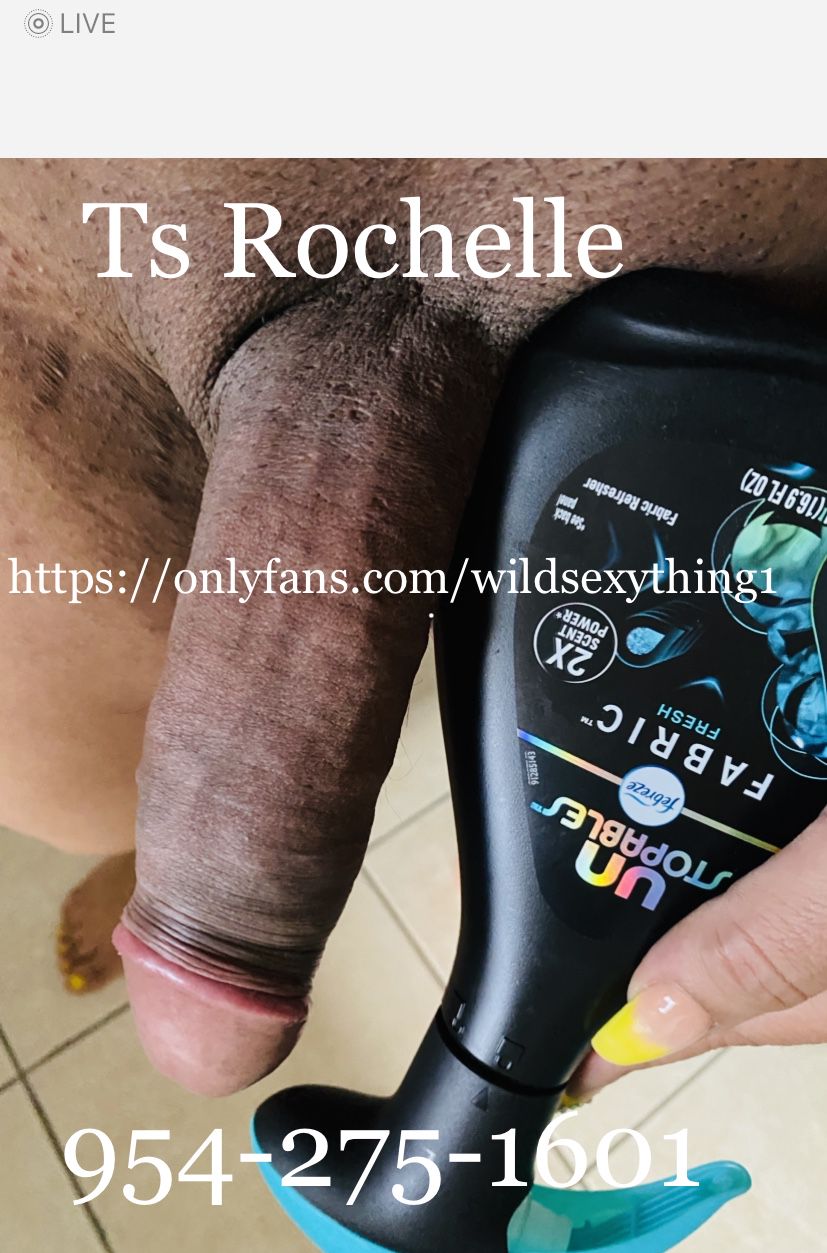 Escorts Fort Lauderdale, Florida Hung&Fit Ts Rochelle