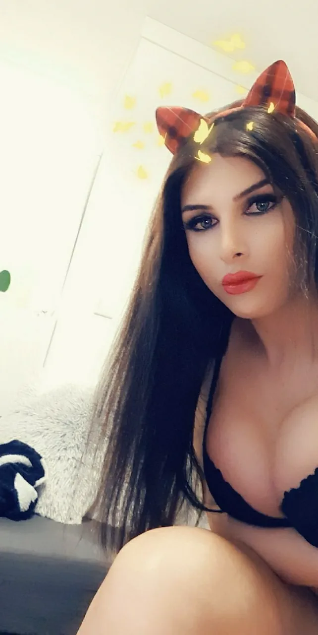 Escorts Amsterdam, Netherlands Dado Young Arab Escort Shemale BDSM