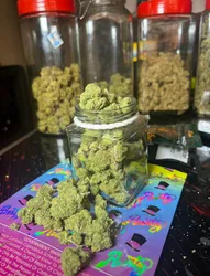 Escorts Fredericton, New Brunswick Lizzy