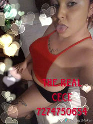 Escorts Tampa, Florida CECE IS IN st.pete in or out NO CATFISH