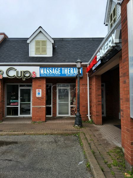 Massage Parlors North York, Ontario Blusky Wellness Centre