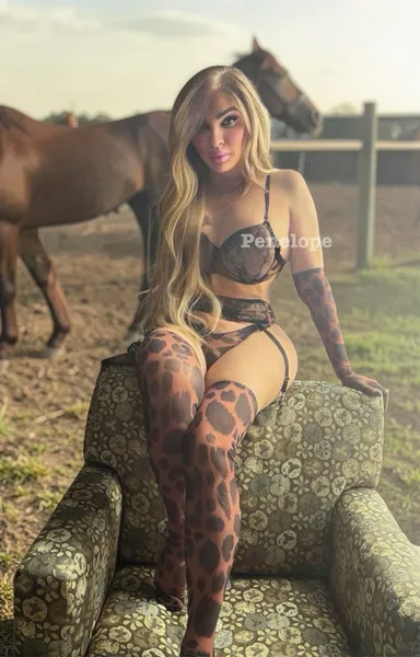 Escorts Chicago, Illinois Arlington H