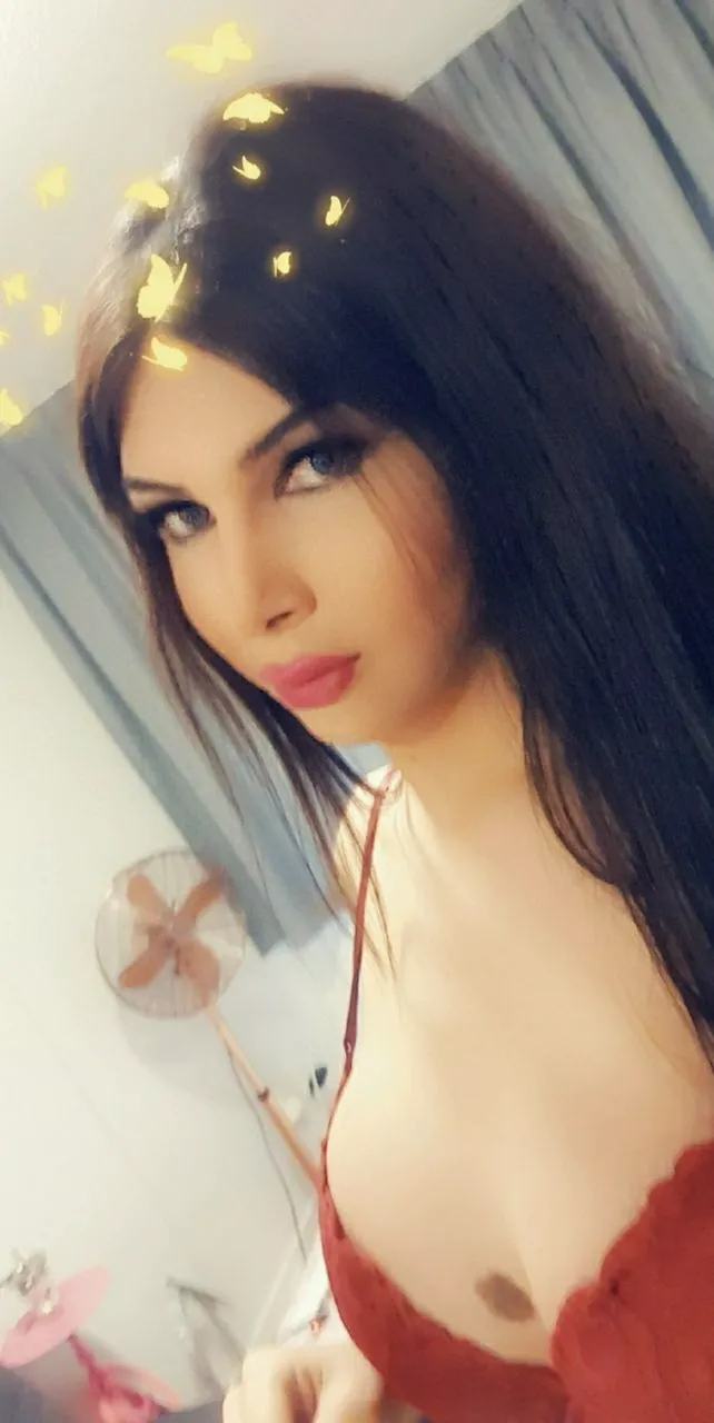 Escorts Amsterdam, Netherlands Dado Young Arab Escort Shemale BDSM
