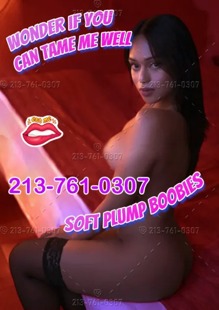 Escorts Austin, Texas ✨💥6 PURE SISTERS NEW HERE💃💃