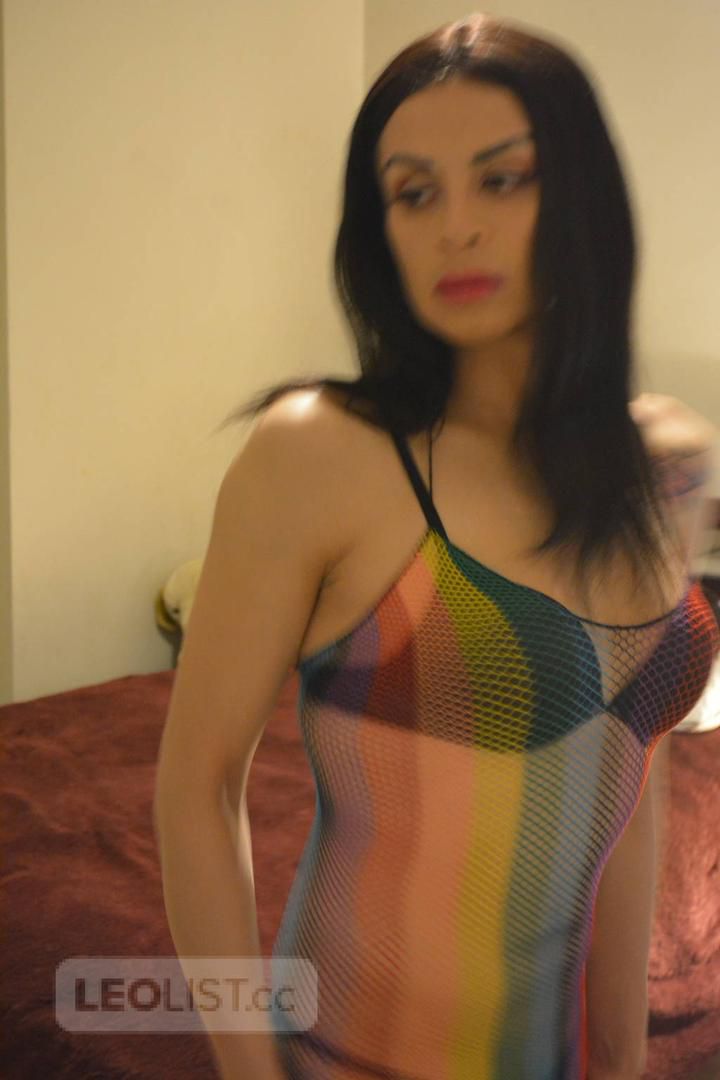 Escorts Windsor, Connecticut spicy latina shemale visiting Windsor