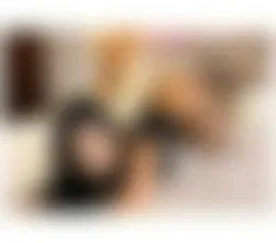Escorts Liverpool, England Melissa Top Ts Here Luxury Services