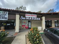 San Diego, California Sea Massage