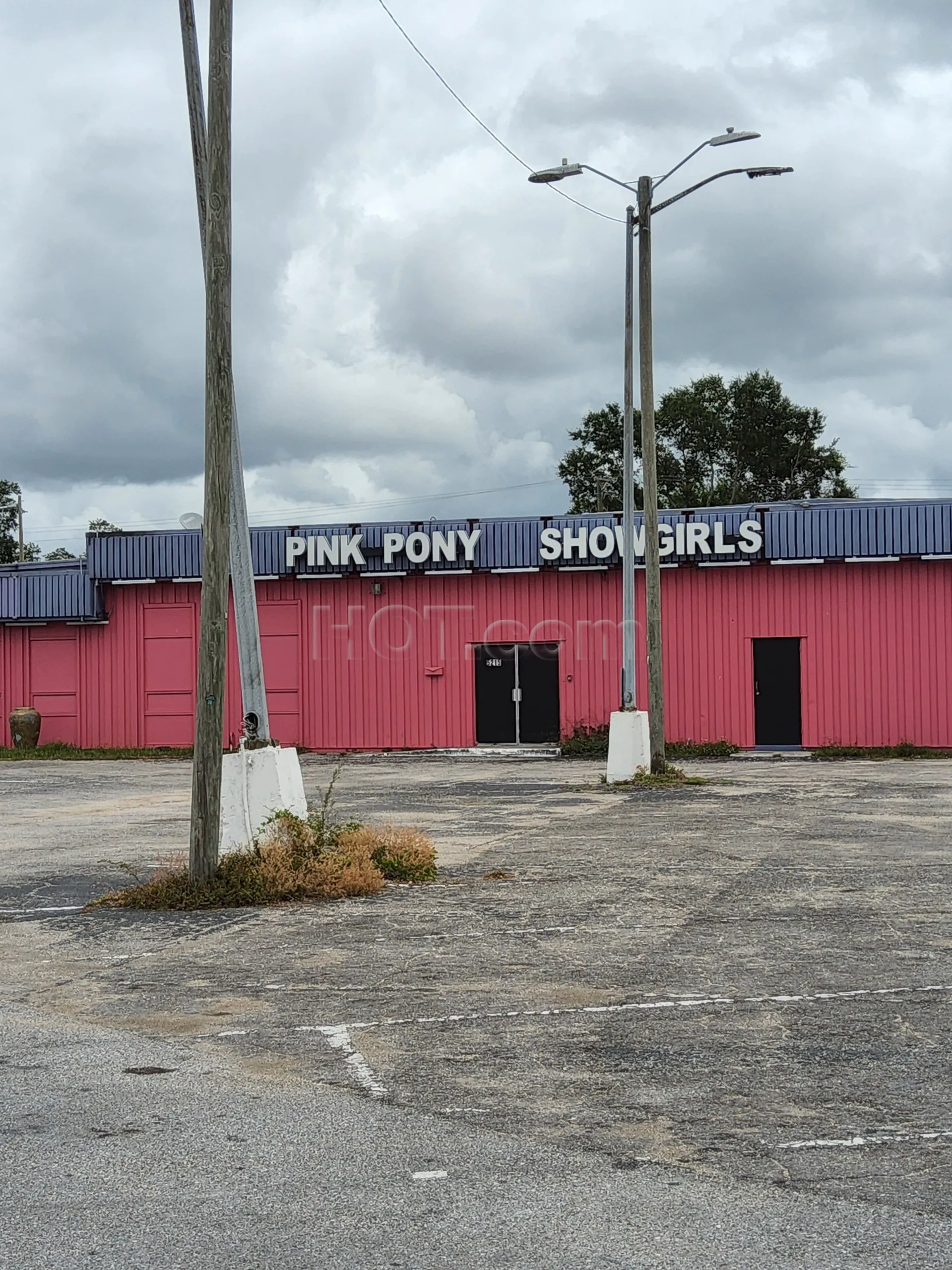 Tampa, Florida Pink Pony Gentleman's Club