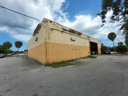 Miami, Florida Quail Roost Adult Video