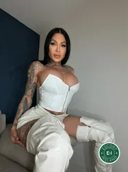 Escorts Belfast, Northern Ireland TS Vanessa Jhons