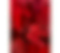 Escorts Preston, England TRANS LATINA IN PRESTON