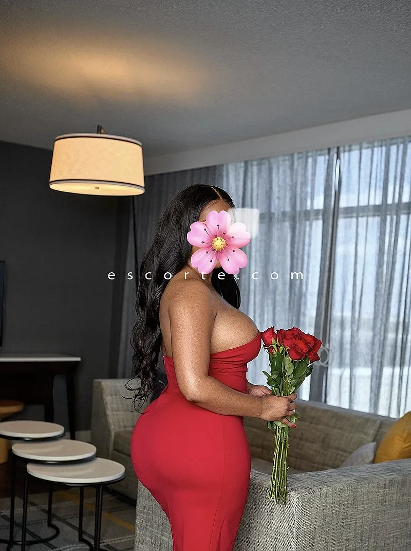 Escorts Toulouse, France Lovely