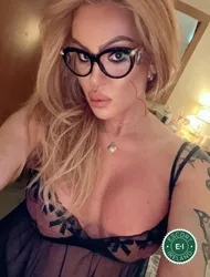 Escorts Athlone, Ireland TS Everlyn Braga