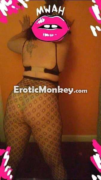 Escorts Rochester, New York Katt