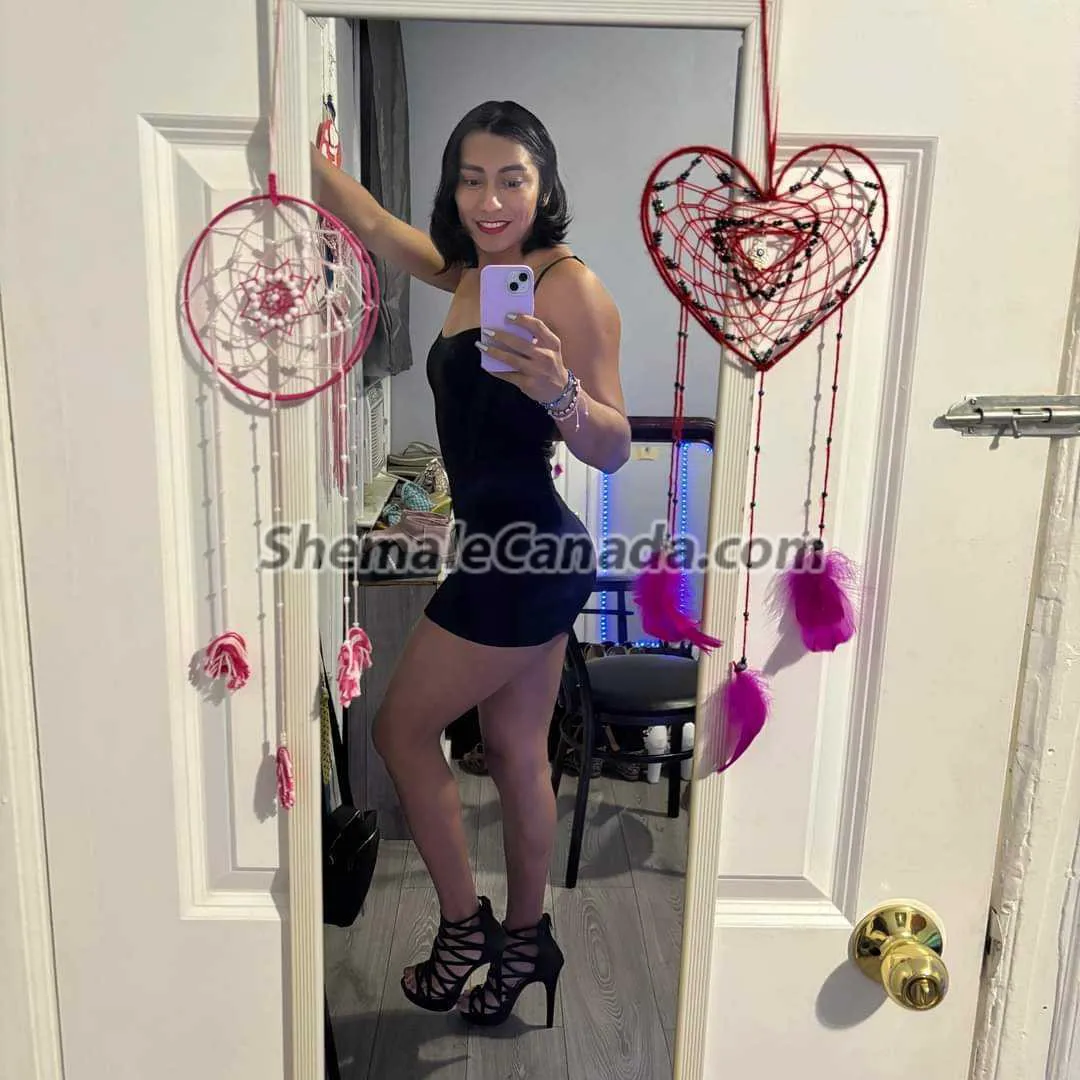 Escorts Toronto, Ontario Conejita2995