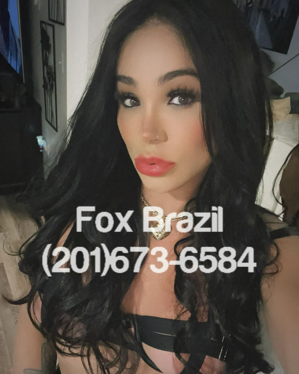 Fox Brazil Shemale Escort In Boston Ma 201 673 6584