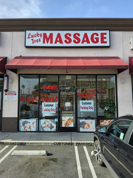 Massage Parlors Los Angeles, California Lucky Tree Massage