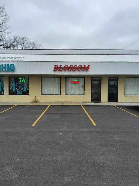 Massage Parlors Addison, Illinois Blossom Spa