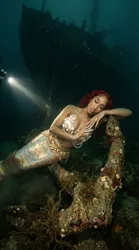 Escorts Elizabeth, New Jersey 👸🏽