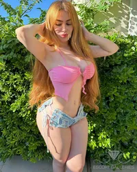 Escorts Amman, Jordan null