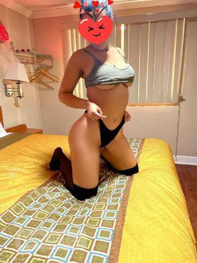 Escorts Windsor, Ontario NEW GIRL BBJ 69 MASSAGES NEW GIRL LATINA CASH AND TRANSFER