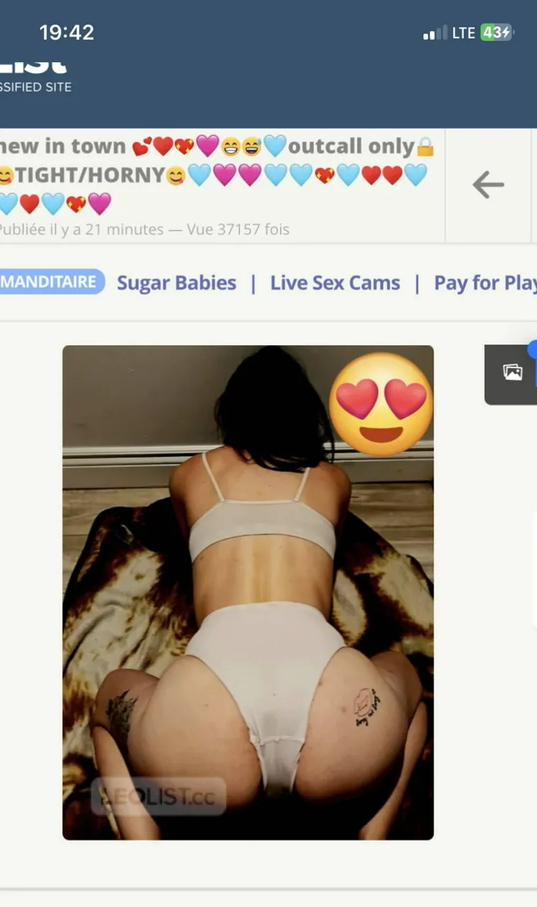 Escorts Windsor, Ontario Sara